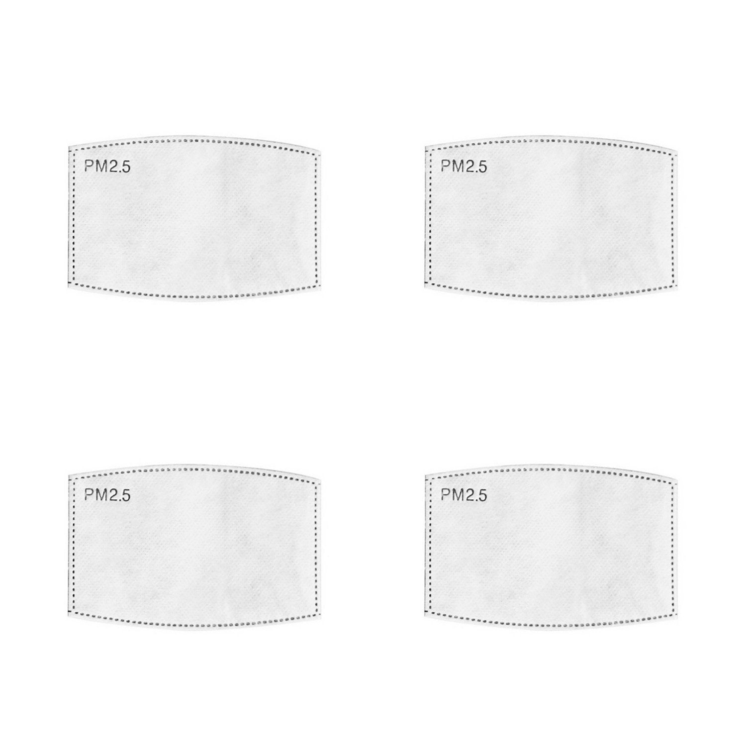 PM 2.5 Filter Inserts (Adult)-0