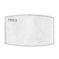 PM 2.5 Filter Inserts (Adult)-1