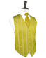 Striped Satin Tuxedo Vest 2-1
