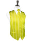 Striped Satin Tuxedo Vest 3-2