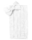 Tapestry Silk Cummerbund & Bow Tie Set-3