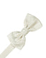 Paisley Silk Bow Tie-1