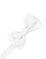 Paisley Silk Bow Tie-4